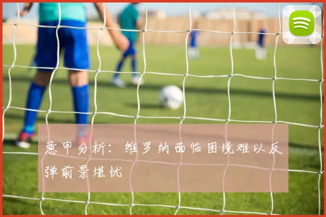 意甲分析：维罗纳面临困境难以反弹前景堪忧